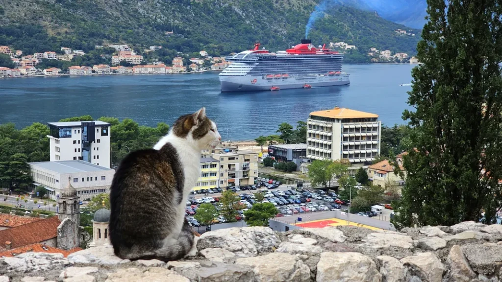Top 5 Things to See and Do in Kotor